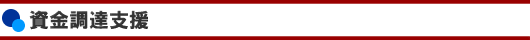 資金調達支援