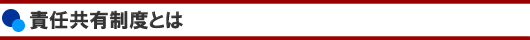 責任共有制度とは